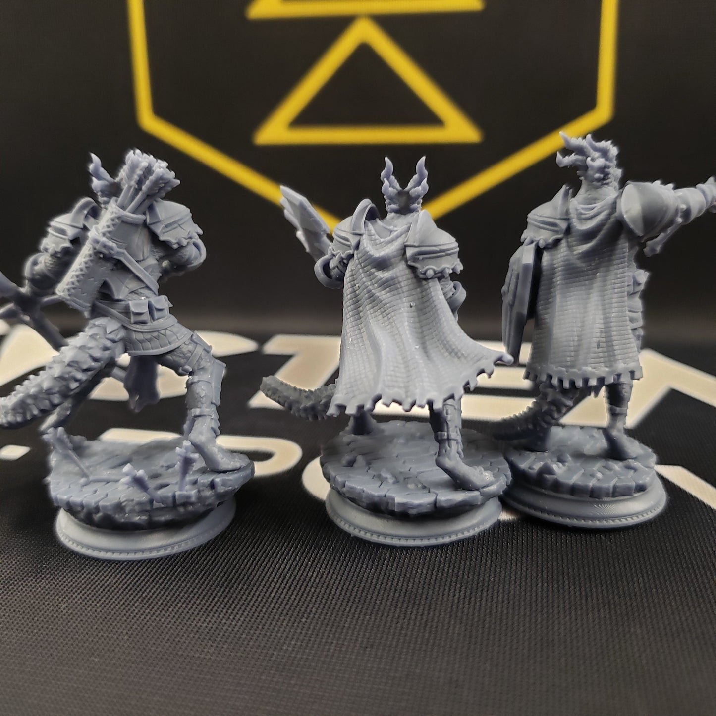 Azmordion's Chosen, Silver Dragonkin Knights (Dragonborn Paladins)