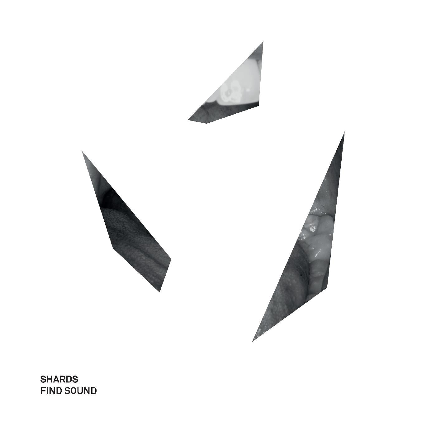 Find Sound (CD) - Golden Apple Comics