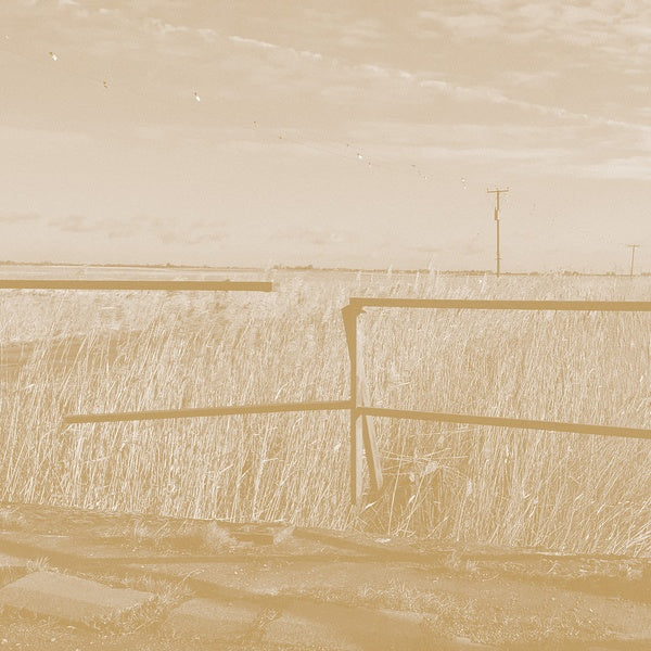 Long Drove (CD)