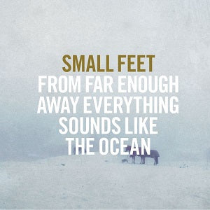 From Far Enough Away Everything Sounds Like The Ocean (CD)