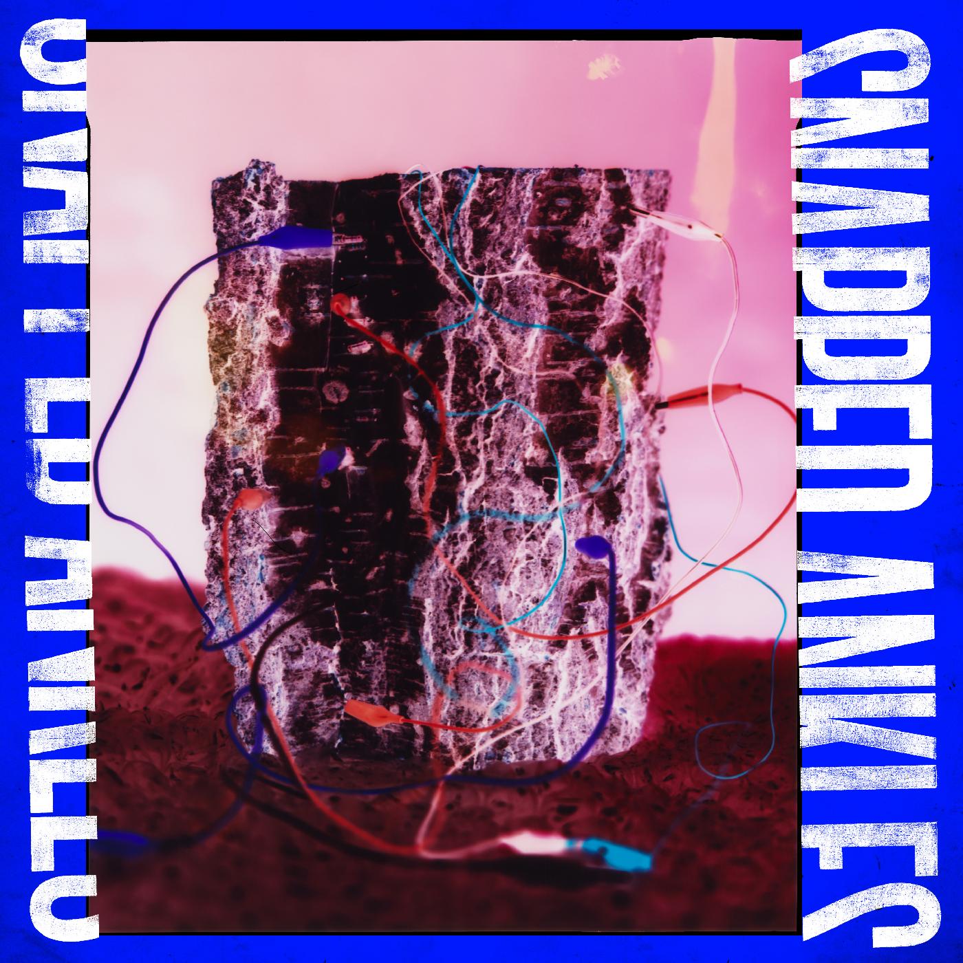 Forest Of Your Problems (CD)