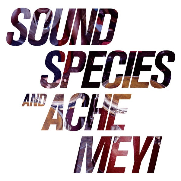 Soundspecies And Ache Meyi (Vinyl) - Golden Apple Comics