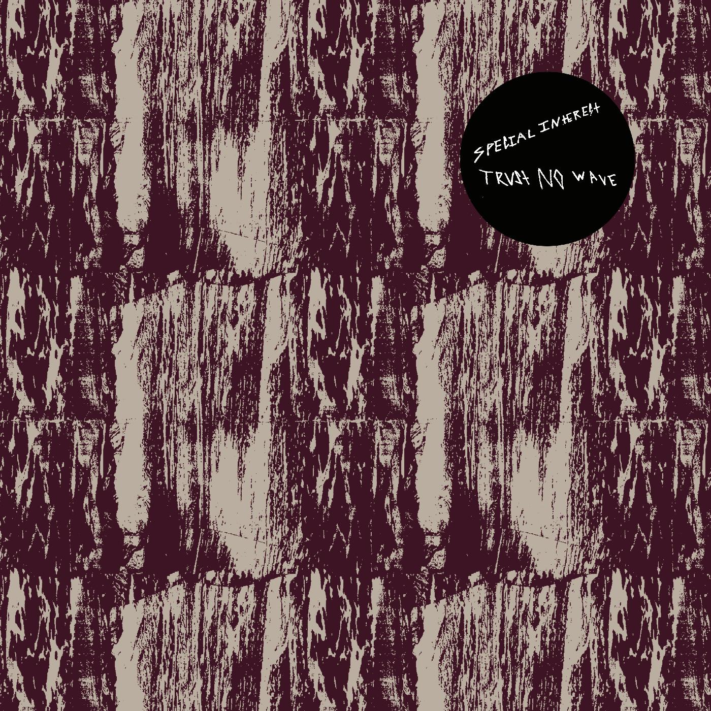 Trust No Wave (Vinyl)