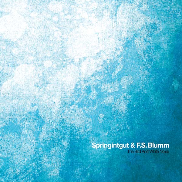 The Bird and White Noise (CD)