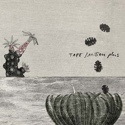 Milieu Plus (CD) - Golden Apple Comics