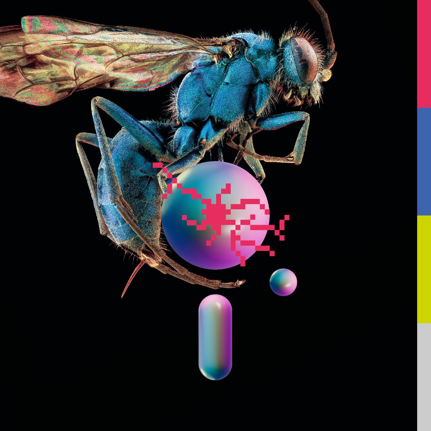 Hive (BLUE VINYL) (Vinyl)