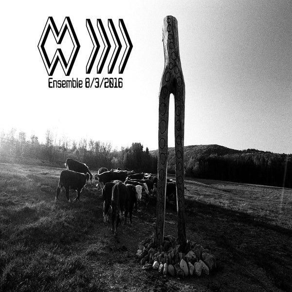 Ensemble 8/3/2016 (Vinyl)