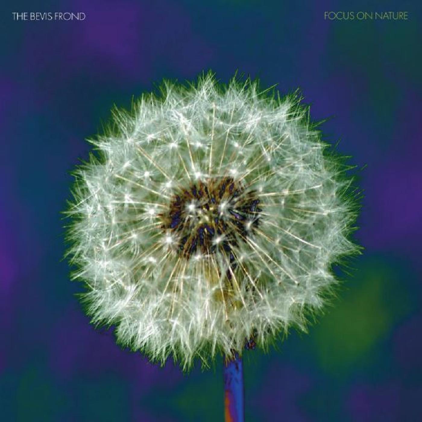 Focus on Nature (Vinyl)