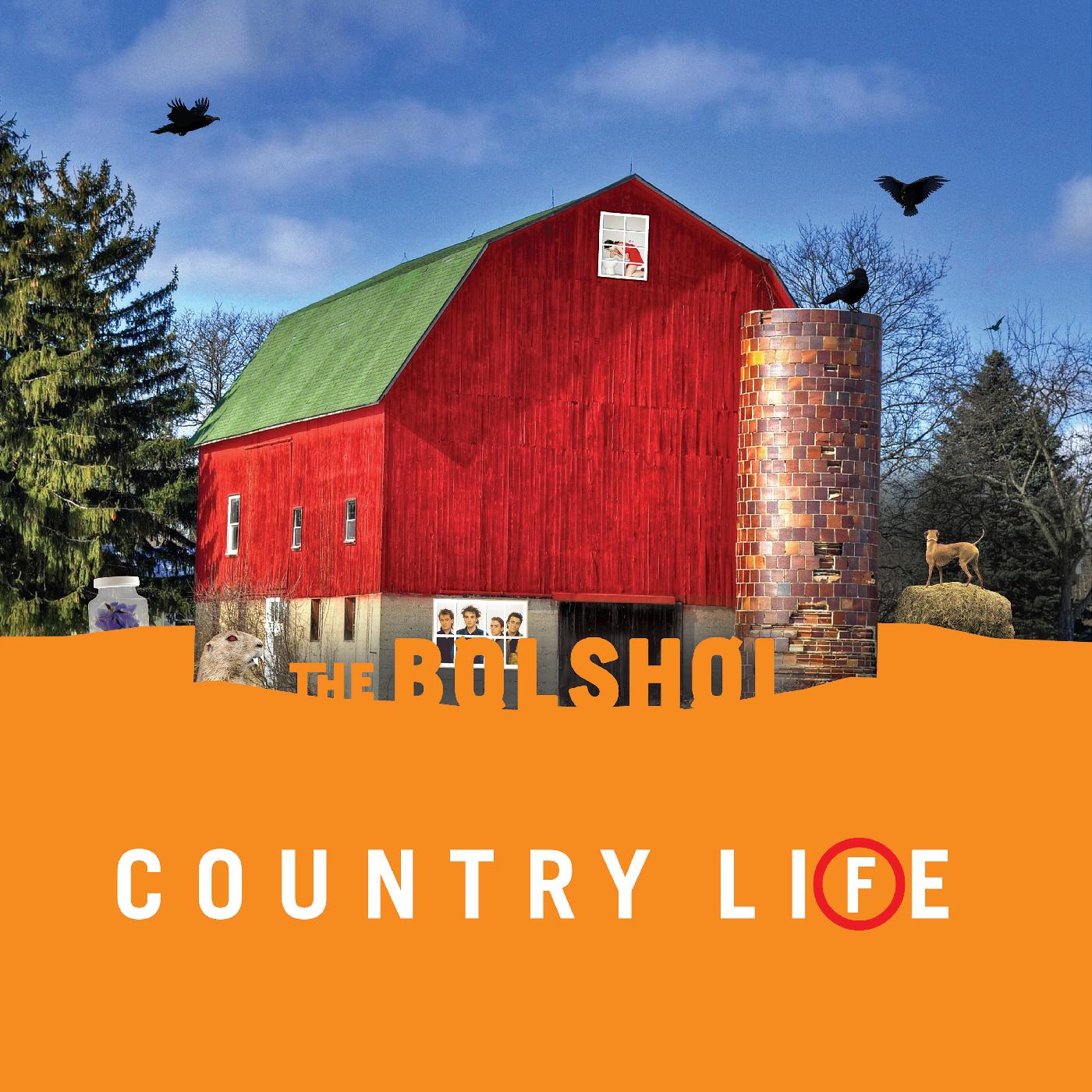 Country Life (GREEN & ORANGE VINYL) (Vinyl)