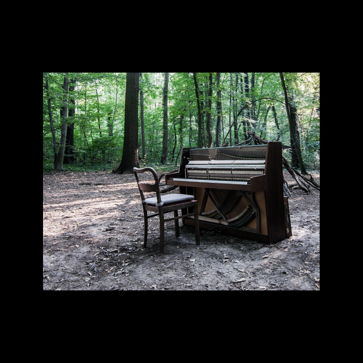 Acoustic II (Vinyl)