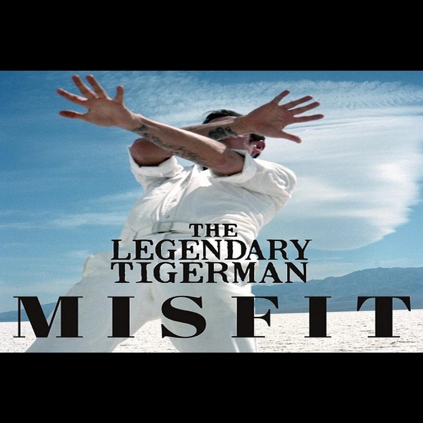 Misfit (Vinyl)