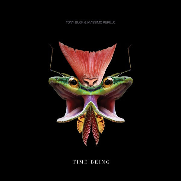 Time Being (Vinyl)