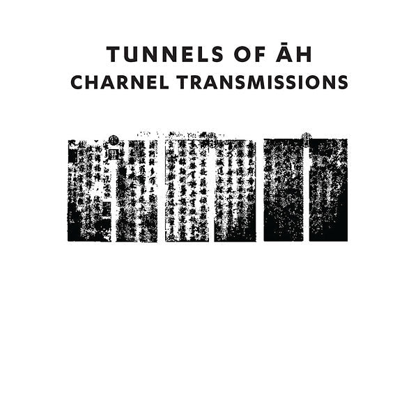 Charnel Transmissions (CD) - Golden Apple Comics