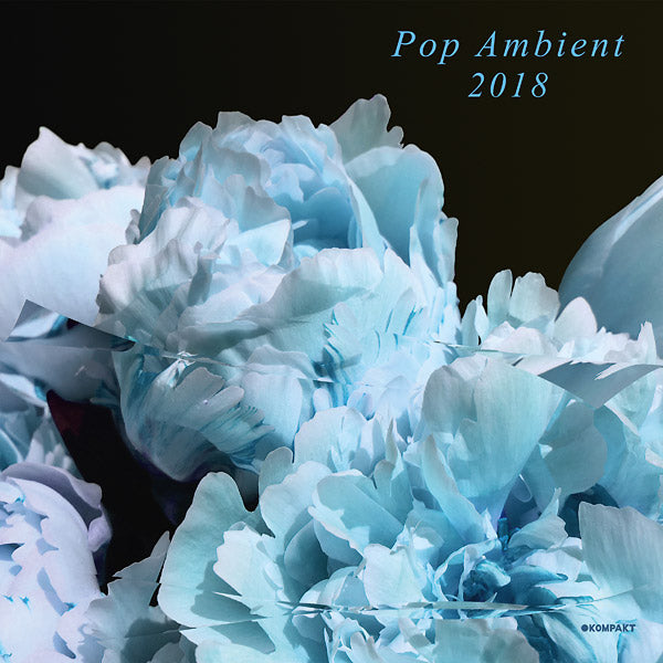 Pop Ambient 2018 (Vinyl)