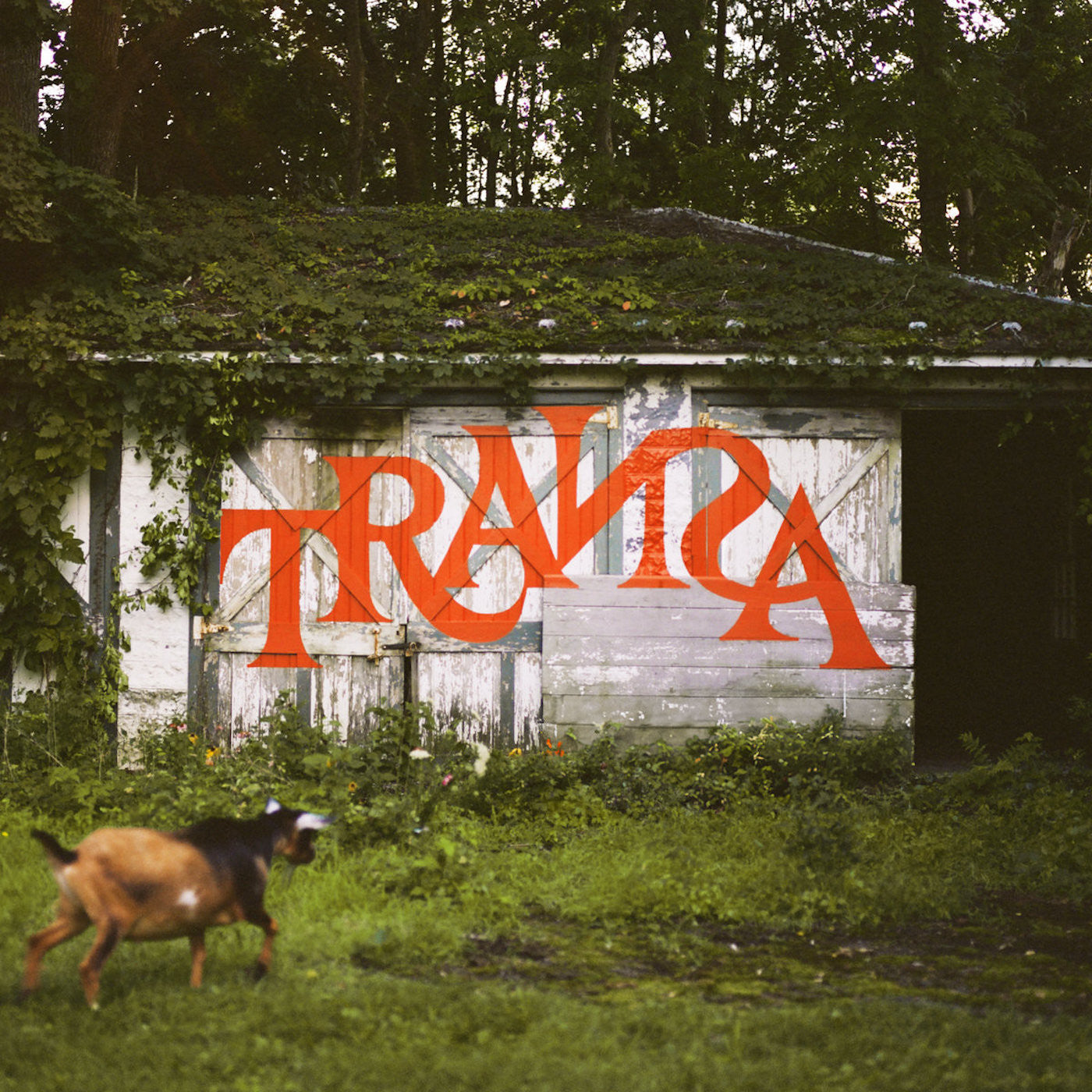 Transa (Deluxe Edition) (Vinyl)