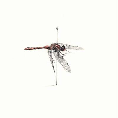 Widower (CD)