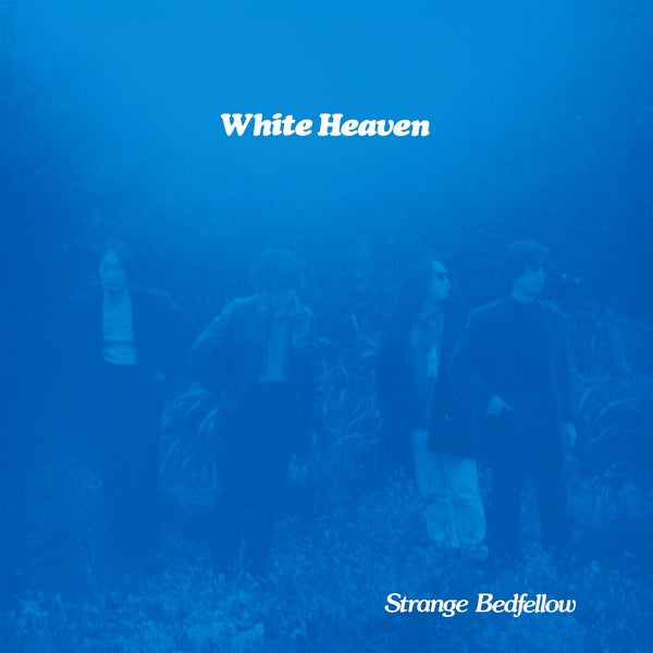 Strange Bedfellow (Vinyl)