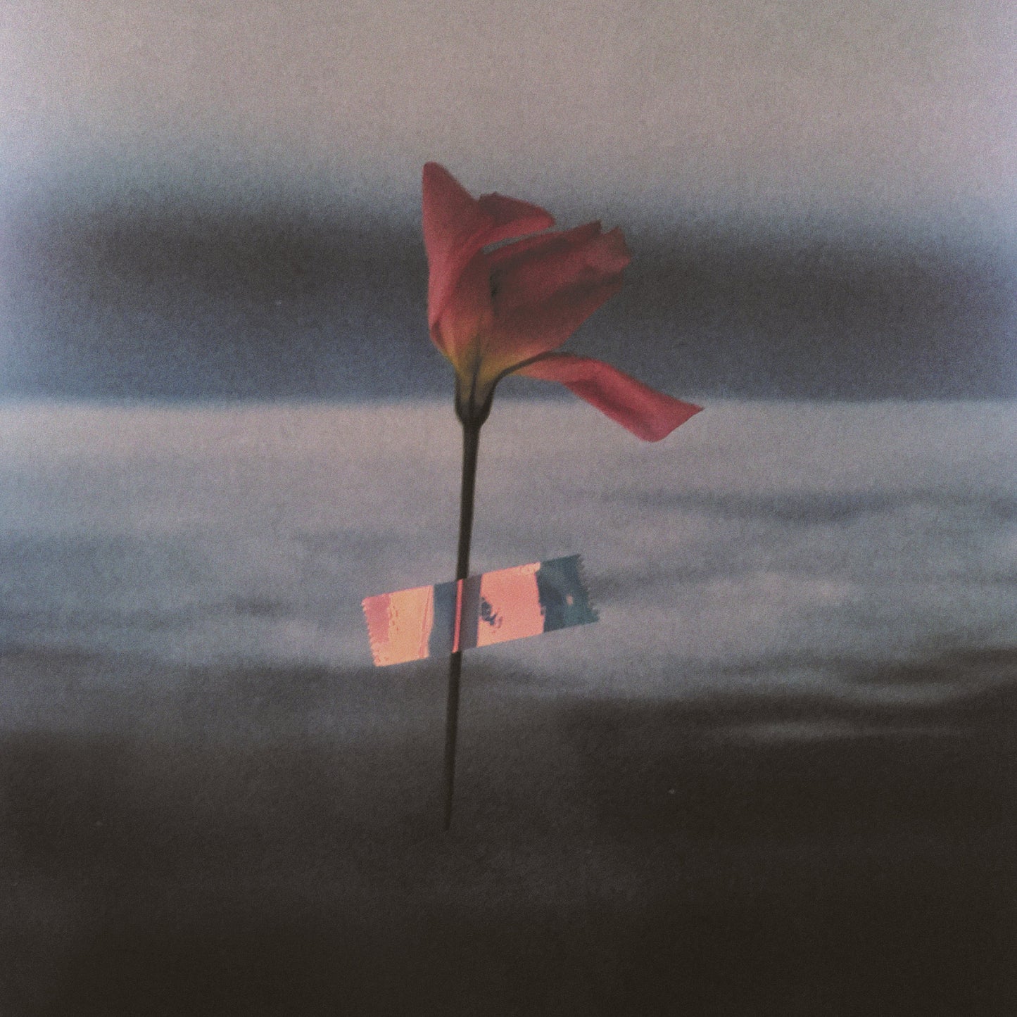 Paralanguage (COLOR VINYL) (Vinyl)