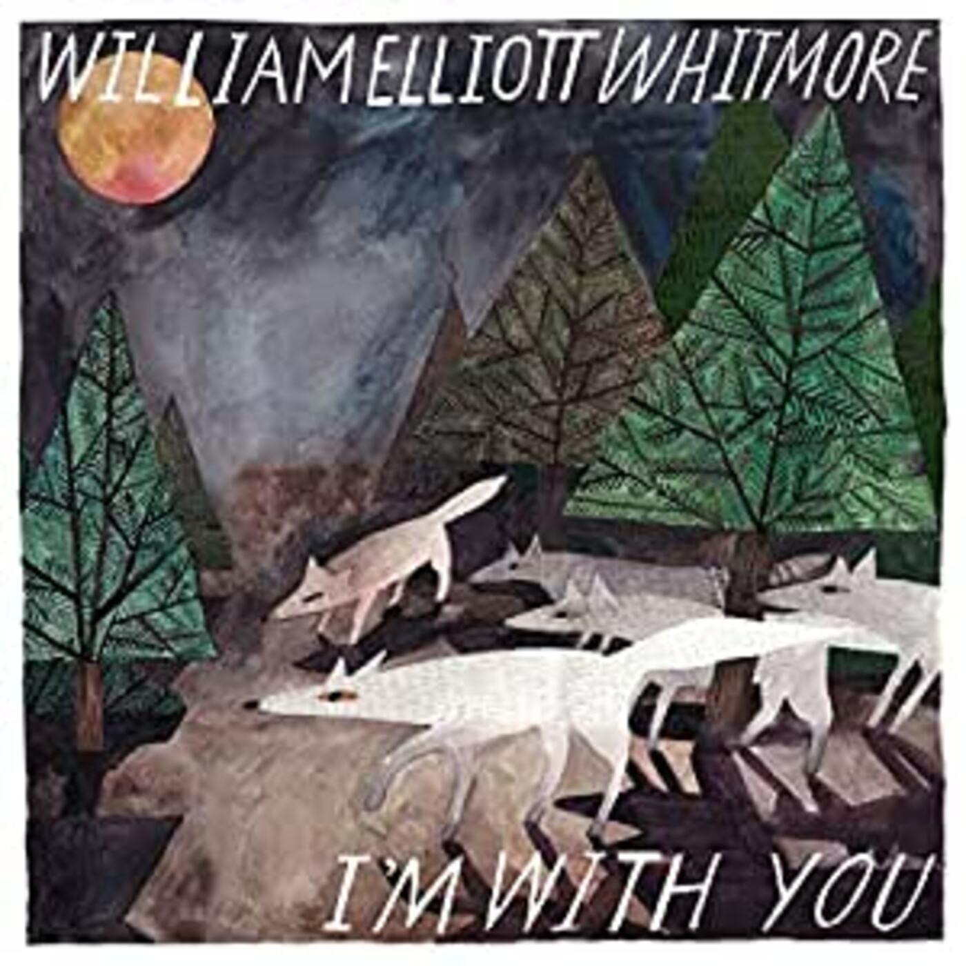 I'm With You (Vinyl)