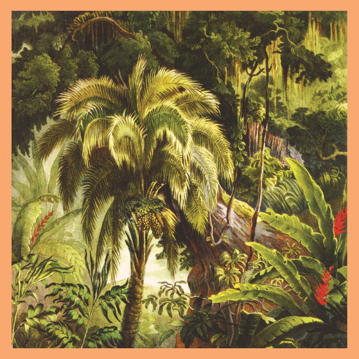 La Foret (SUNSET SWIRL VINYL) (Vinyl)