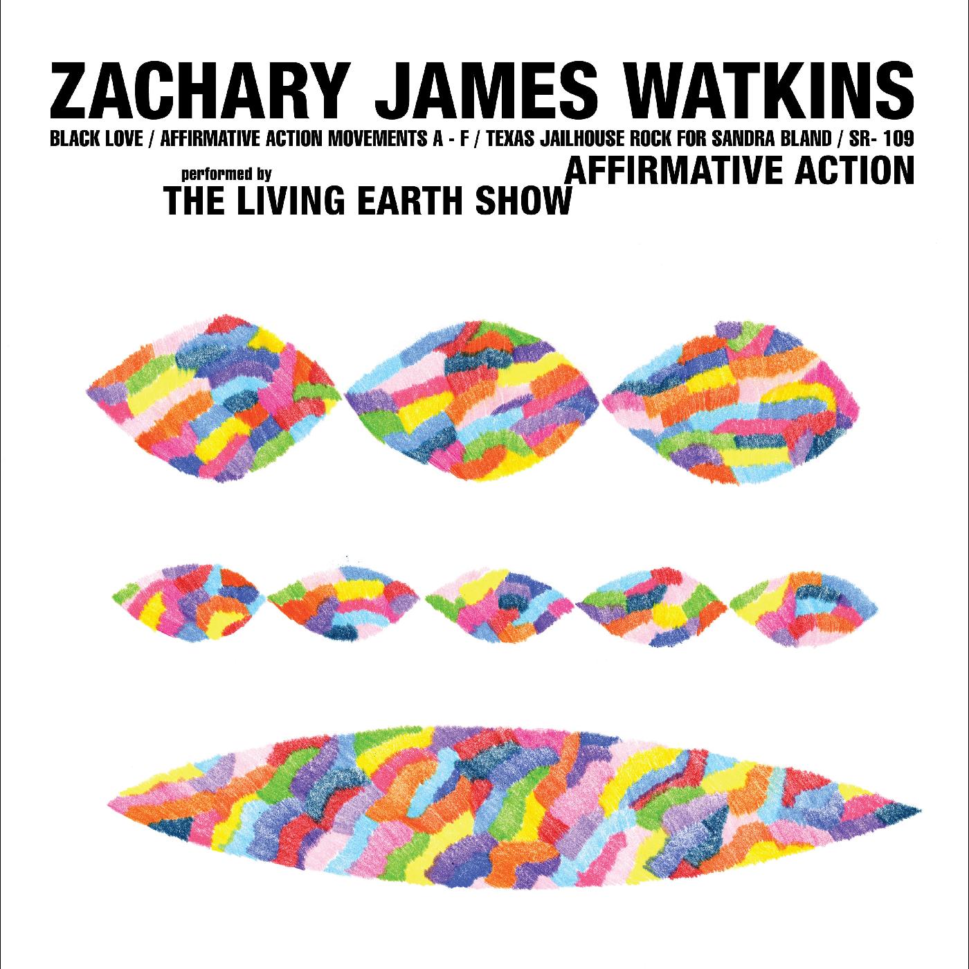 Affirmative Action (Vinyl)