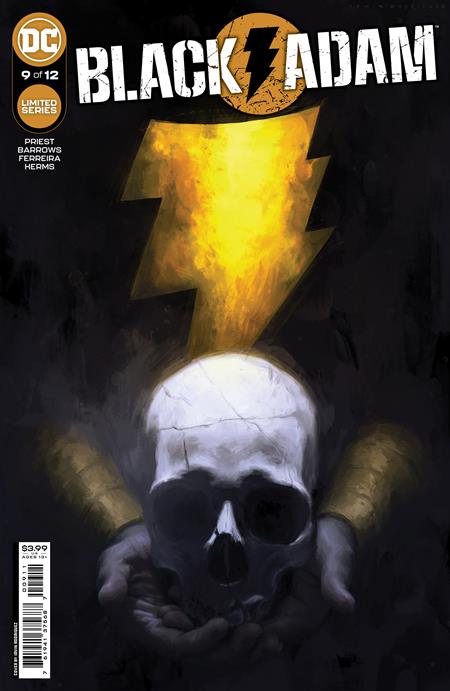 Black Adam #9 (Of 12) A Irvin Rodriguez (03/21/2023) Dc