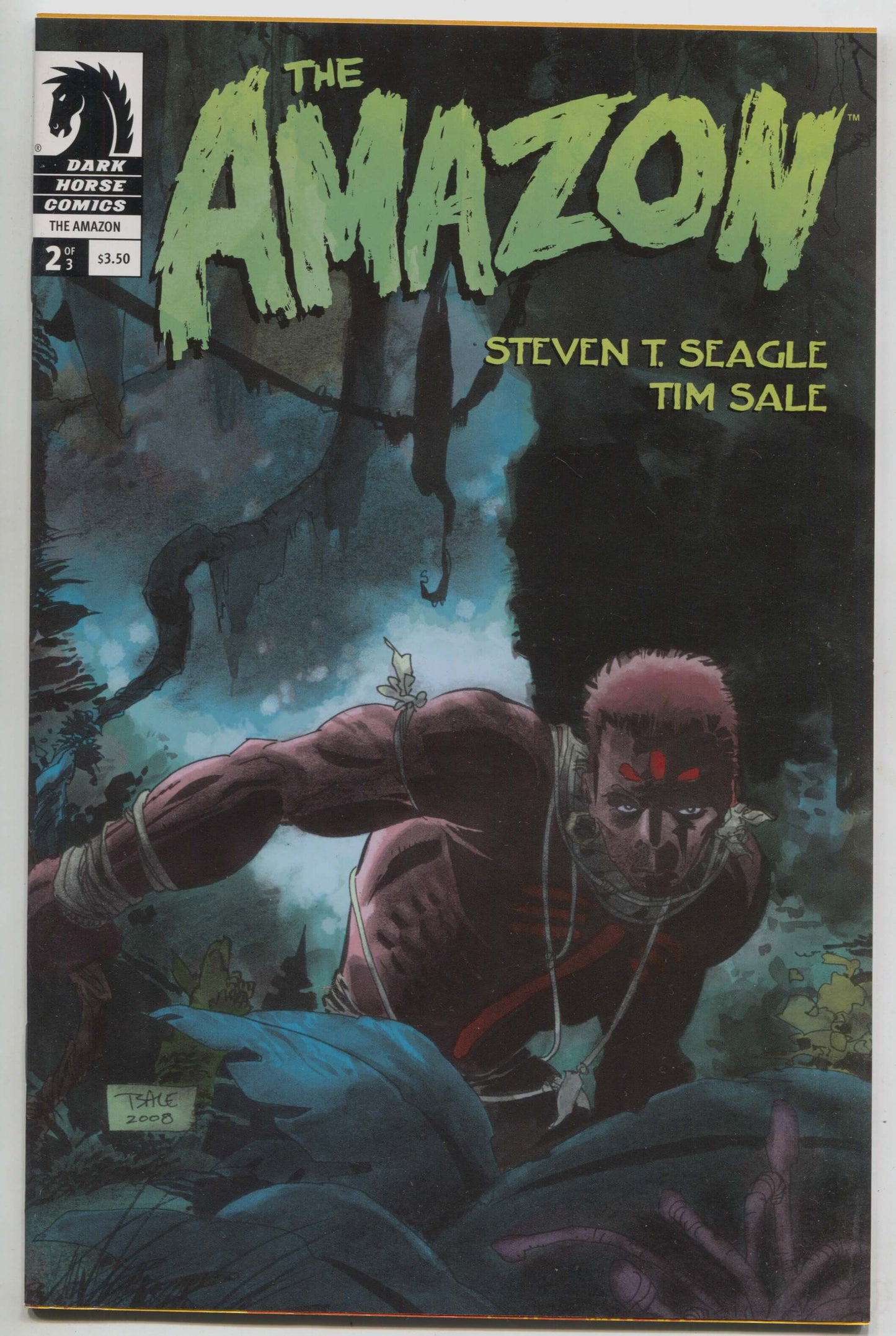 Amazon 2 Dark Horse 2009 NM Tim Sale