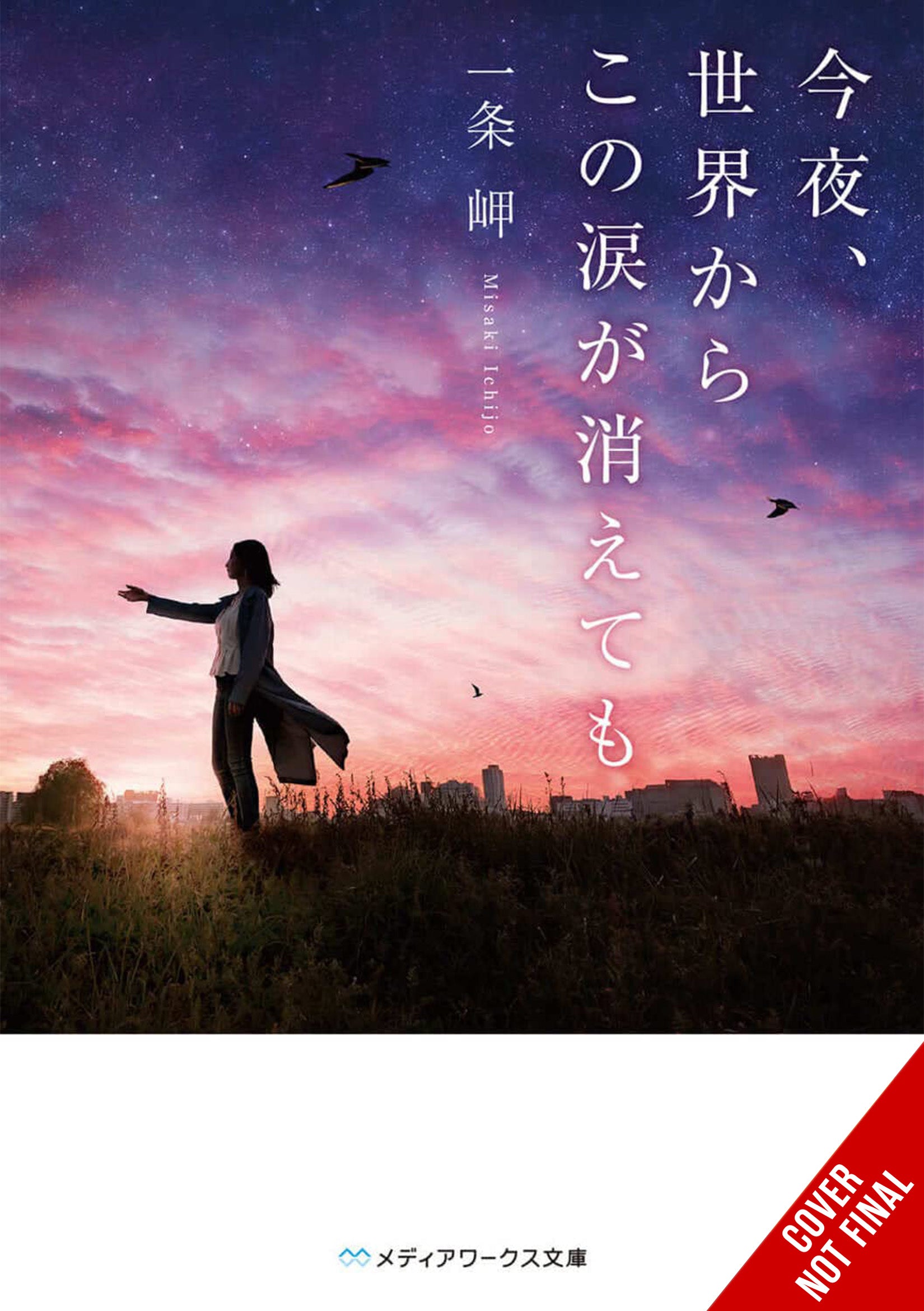 Is a Kimi no Na wa (Your Name) Sequel Possible?