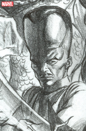 Hulk #13 E 1:100 Alex Ross Timeless Leader Virgin Sketch Variant (03/15/2023) Marvel