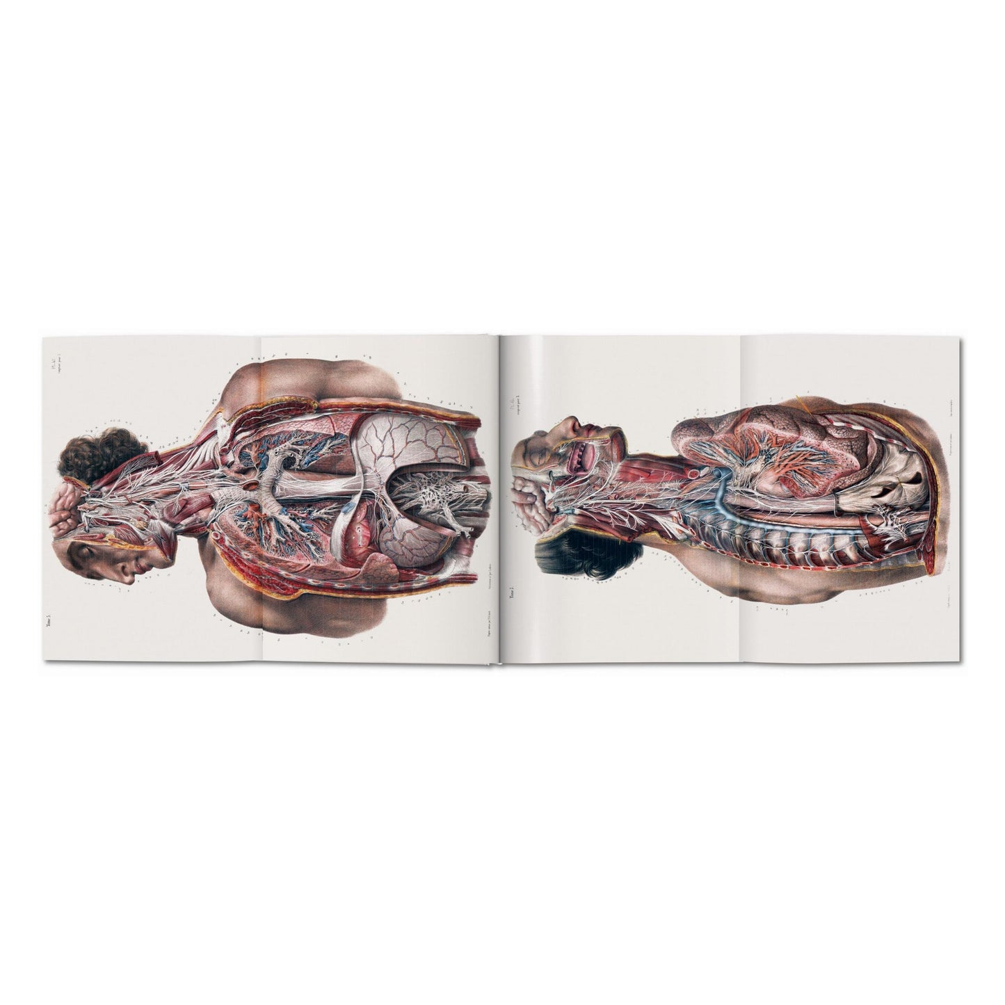 Bourgery. Atlas of Human Anatomy and Surgery (German, French, English)