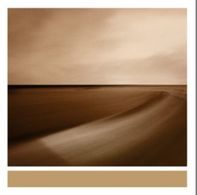 Small Craft On A Milk Sea (2LP/Dl Card) - Golden Apple Comics