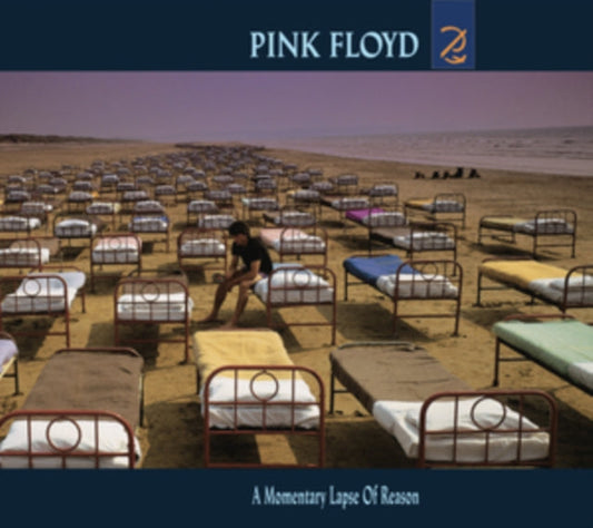 Momentary Lapse Of Reason (180G/Gatefold) (2016 Version)