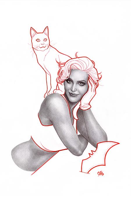 Catwoman #70 B Frank Cho Variant (11/20/2024) Dc