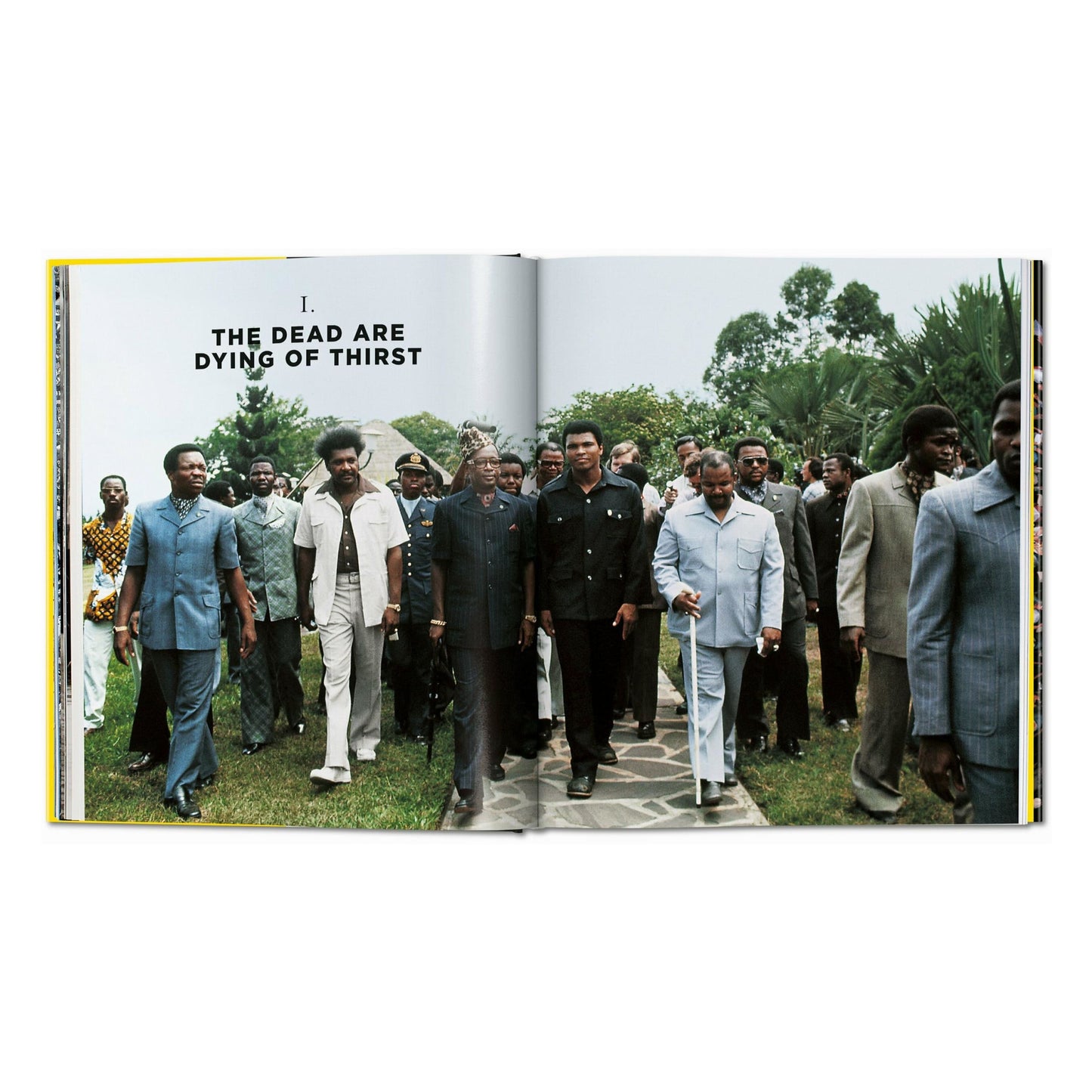 Norman Mailer. Neil Leifer. Howard L. Bingham. The Fight (English)