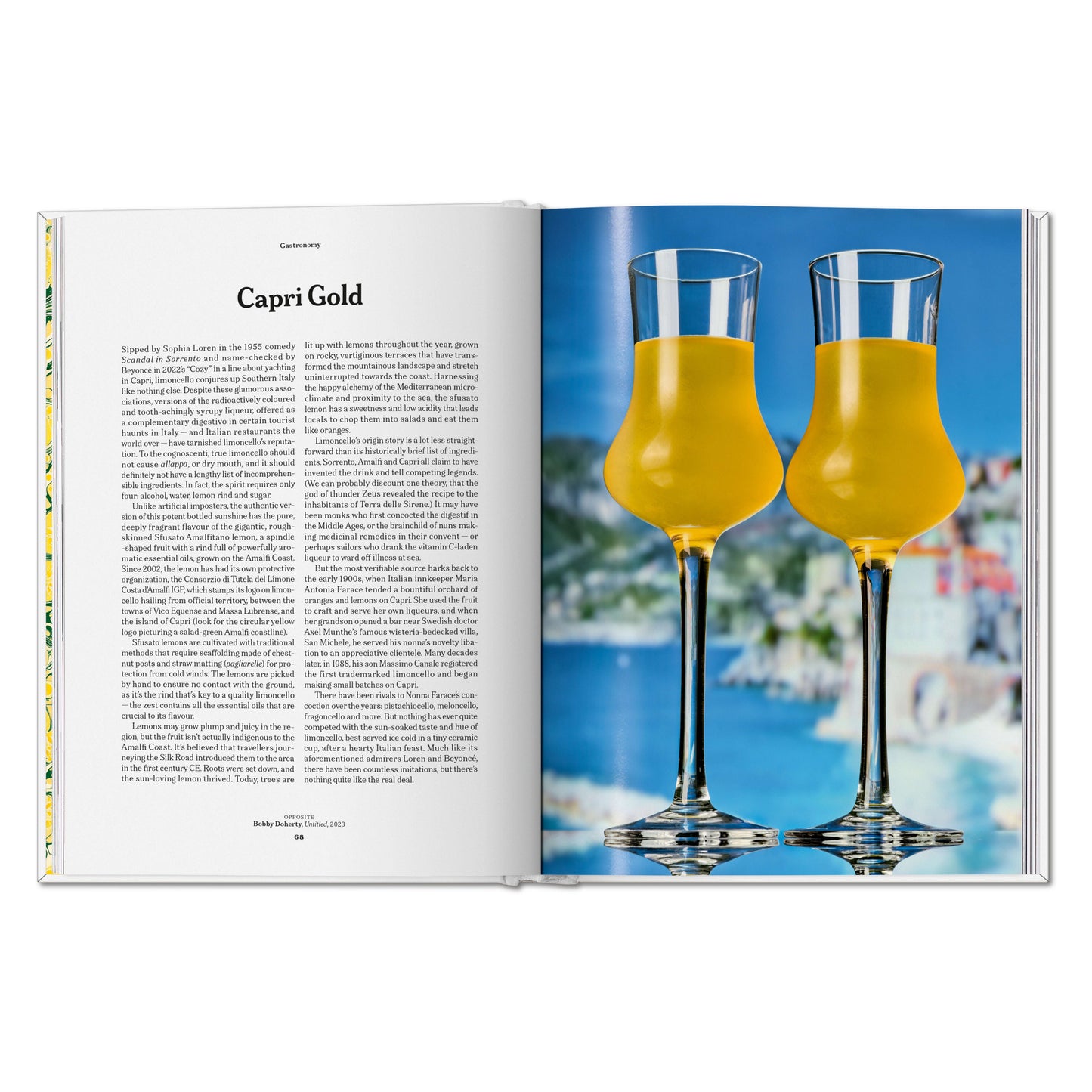 The Gourmand's Lemon. A Collection of Stories and Recipes (English)