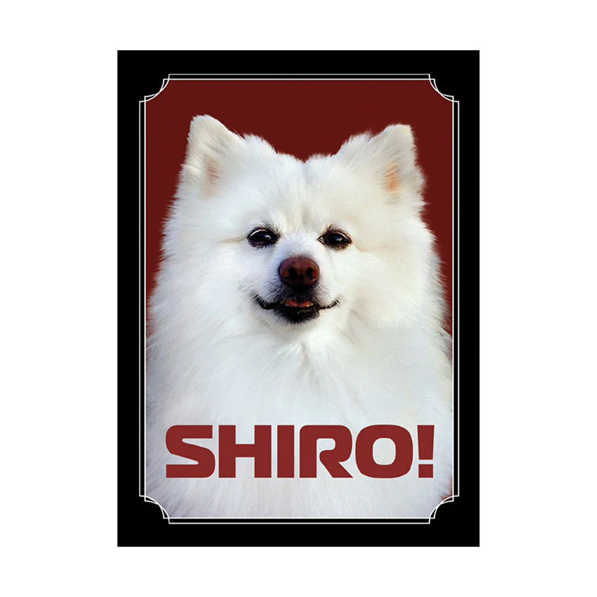 Shiro Sleeve