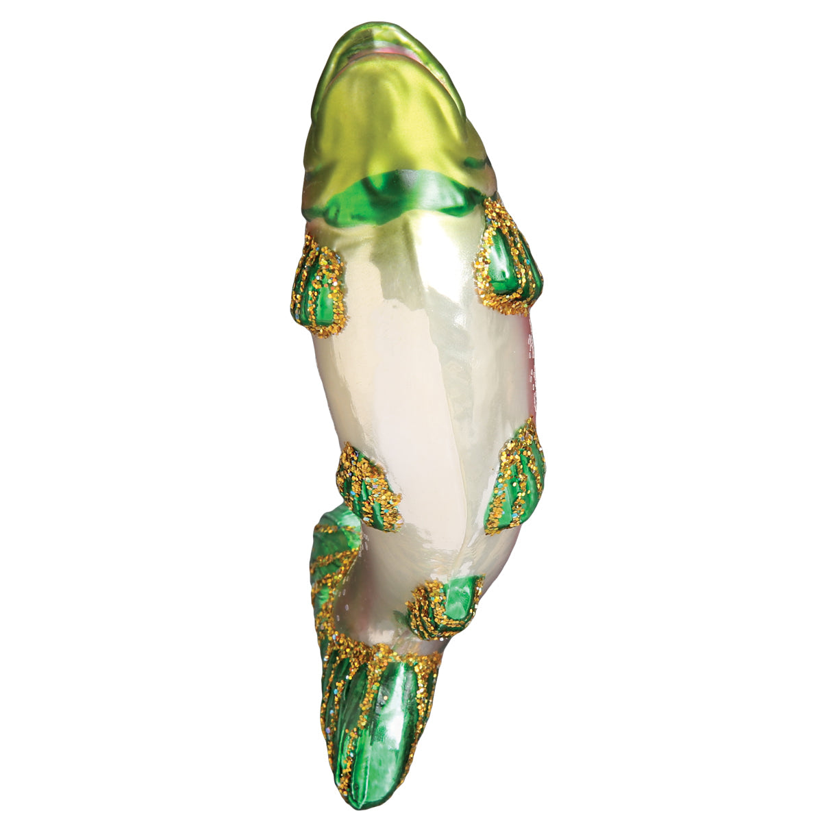 Alpine Rainbow Trout