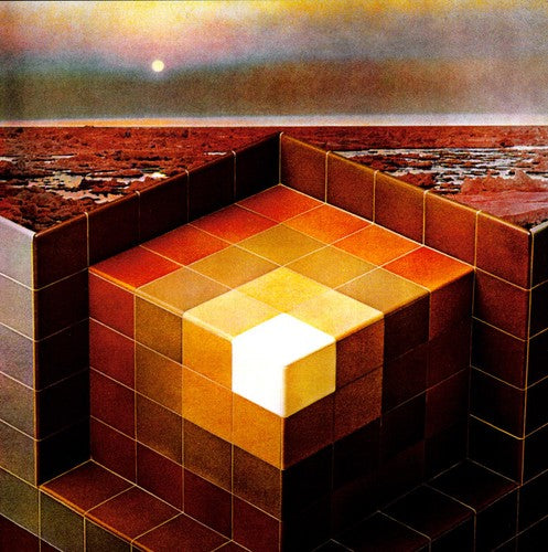 In the Future [LP]