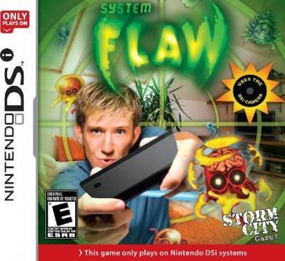 System: Flaw (Nintendo DS)