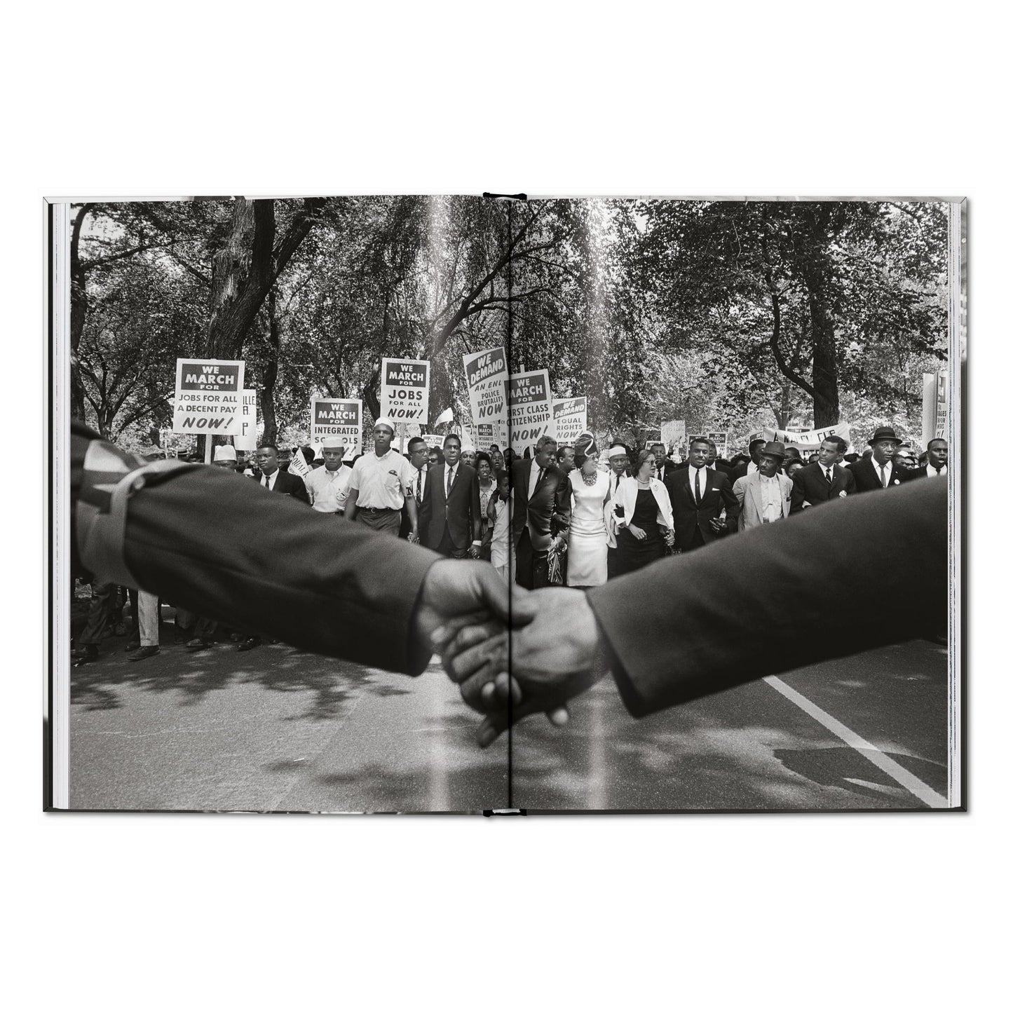James Baldwin. Steve Schapiro. The Fire Next Time (English)