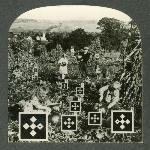 Eyes and Eyes and Eyes Ago [LP]