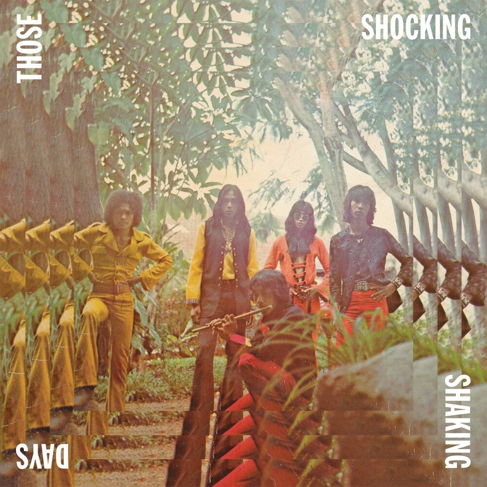 Those Shocking Shaking Days [LP]