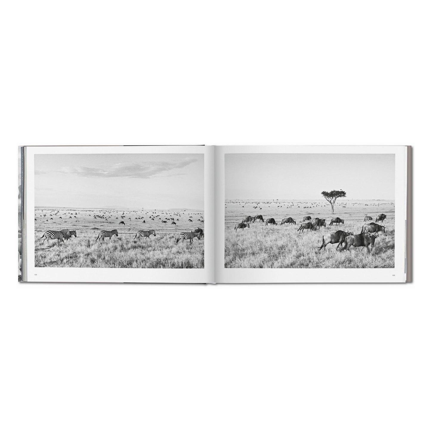 Sebastião Salgado. Africa (German, French, English)