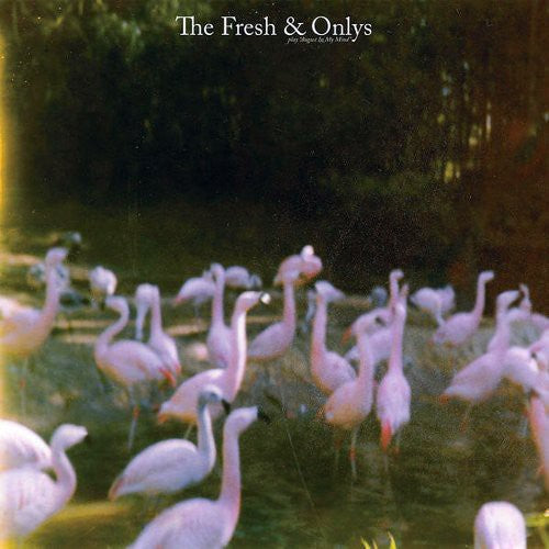 August in My Mind [LP]