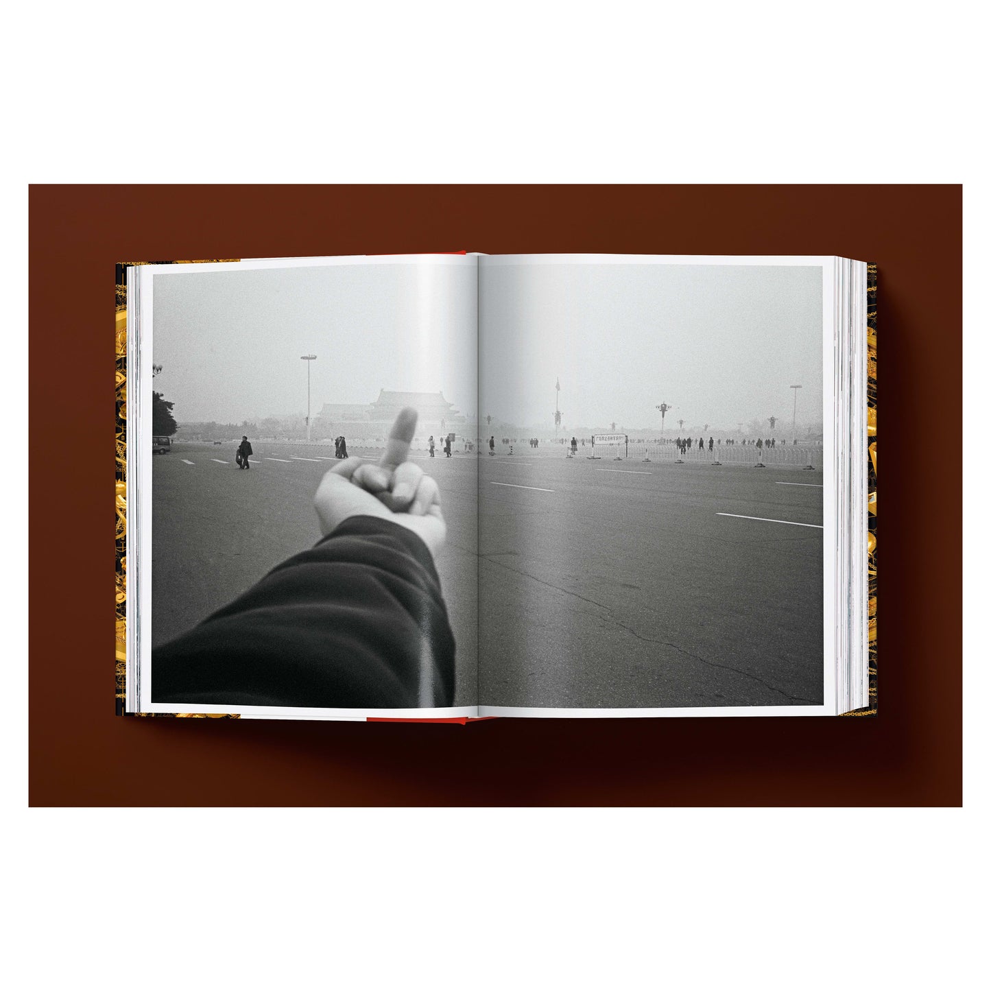 Ai Weiwei. Updated Edition (German, French, English)