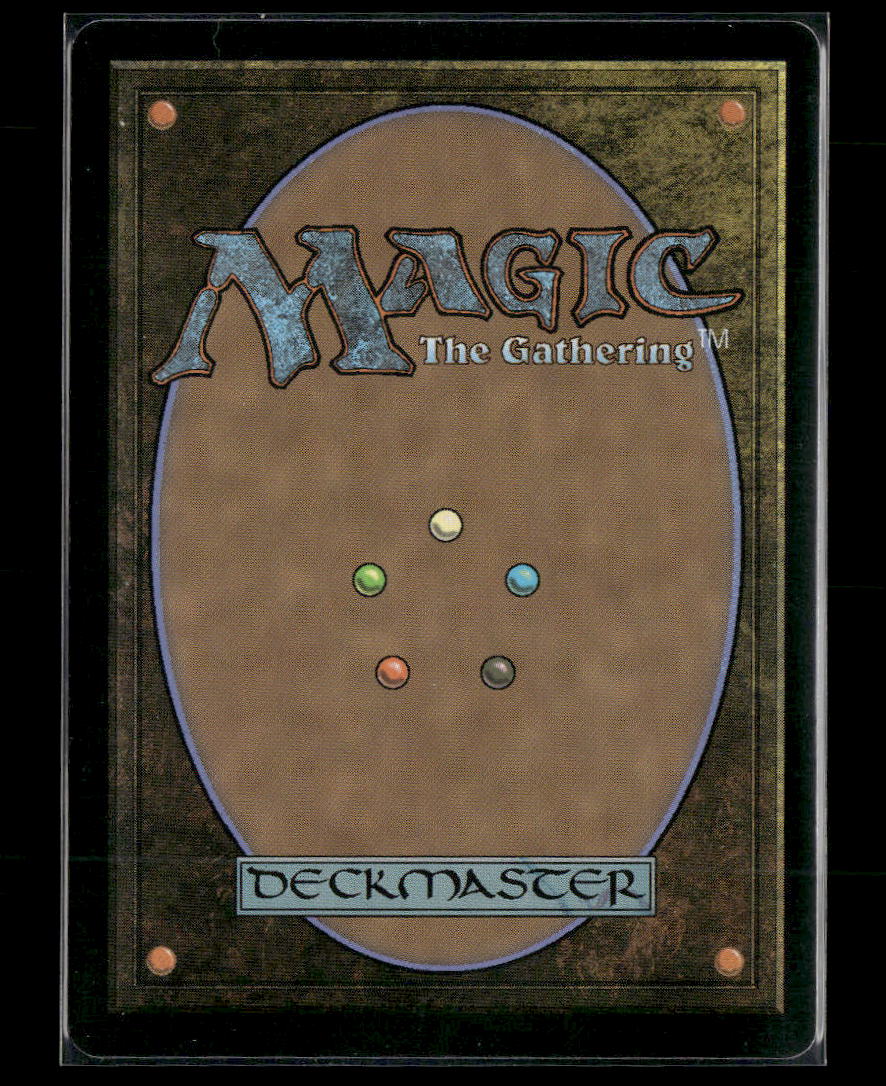 Hallowed Fountain #0265 Rare - Magic: The Gathering Eternal Collection - Golden Apple Comics
