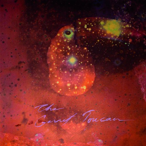 The Garnet Toucan [LP]