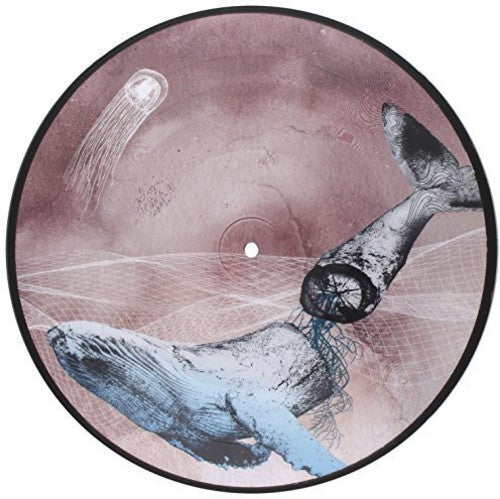 Basal Ganglia [LP]