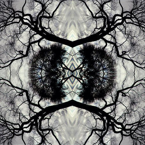 Adam Rudolph - Sonic Mandala Go: Organic Orchestra [LP]