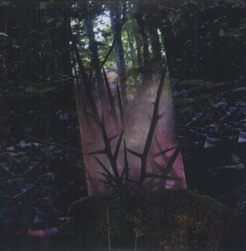 Stealth of Days [LP]